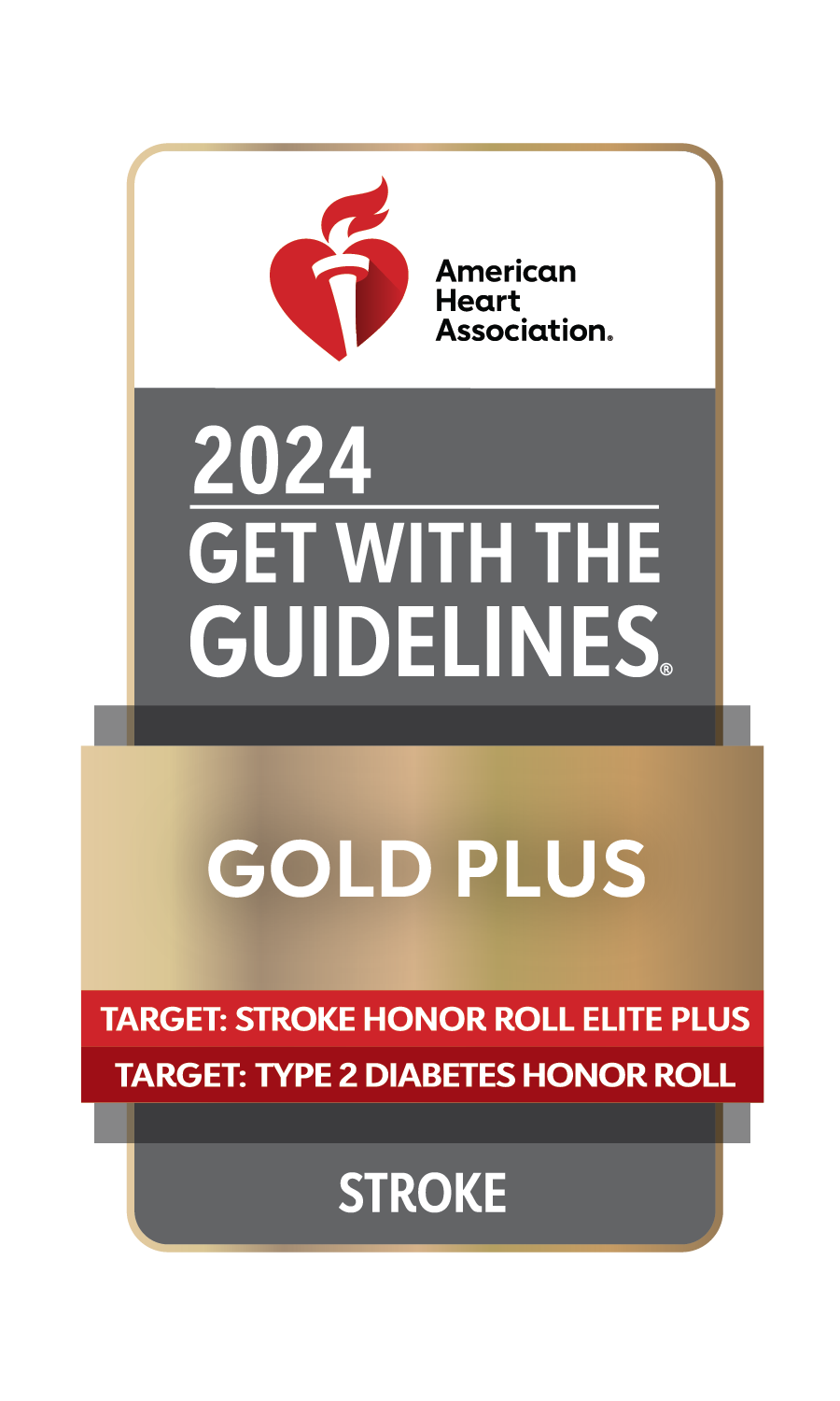 Get With the Guidelines Stroke 2021